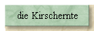 die Kirschernte